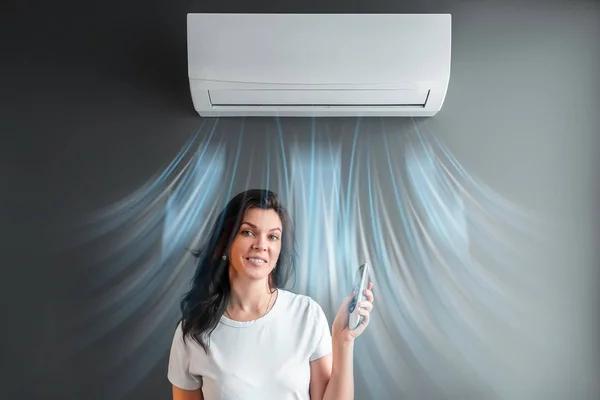 Reliable Humidity Control Solutions for Better Indoor Air Quality