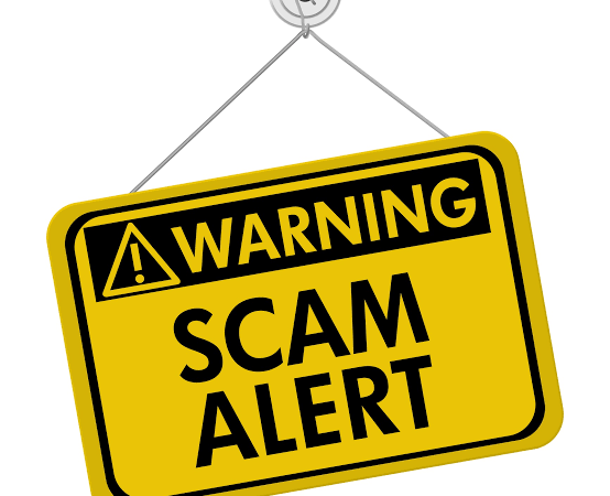 Beware of Online Fraud Targeting Small Businesses